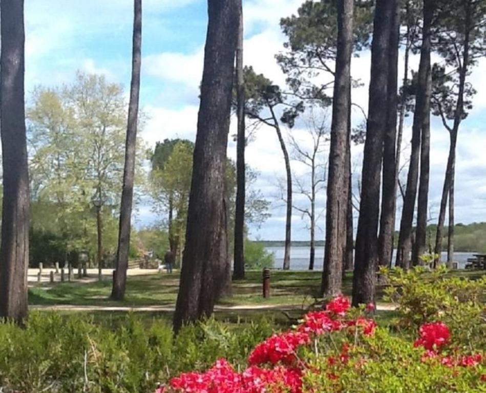 Hotel Au Bon Coin Du Lac Mimizan-Plage Exterior foto
